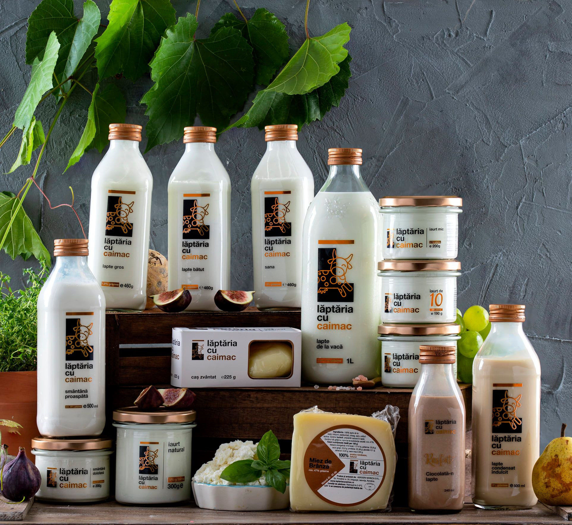 Lăptăria cu Caimac și-a listat produsele în lanțul de magazine Alfa Beta din Constanța