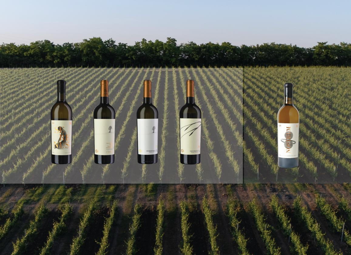 Vinurile românești, premiate internațional: care sunt soiurile care au urcat pe podium