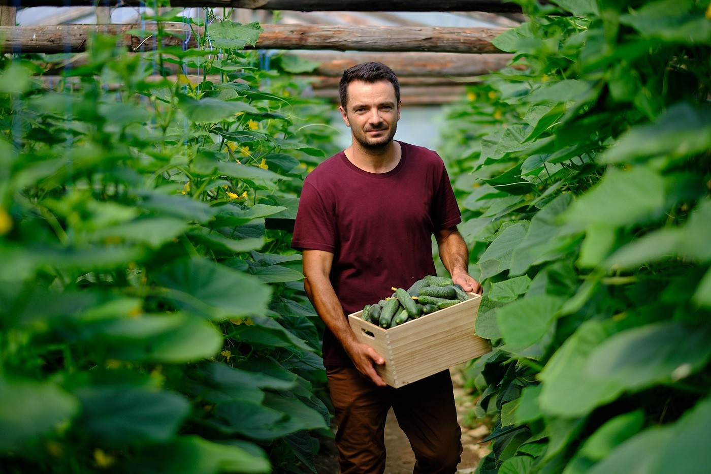 Producția de legume și fructe din programul Mega Image „Gusturi românești de la gospodari” s-a dublat anul acesta