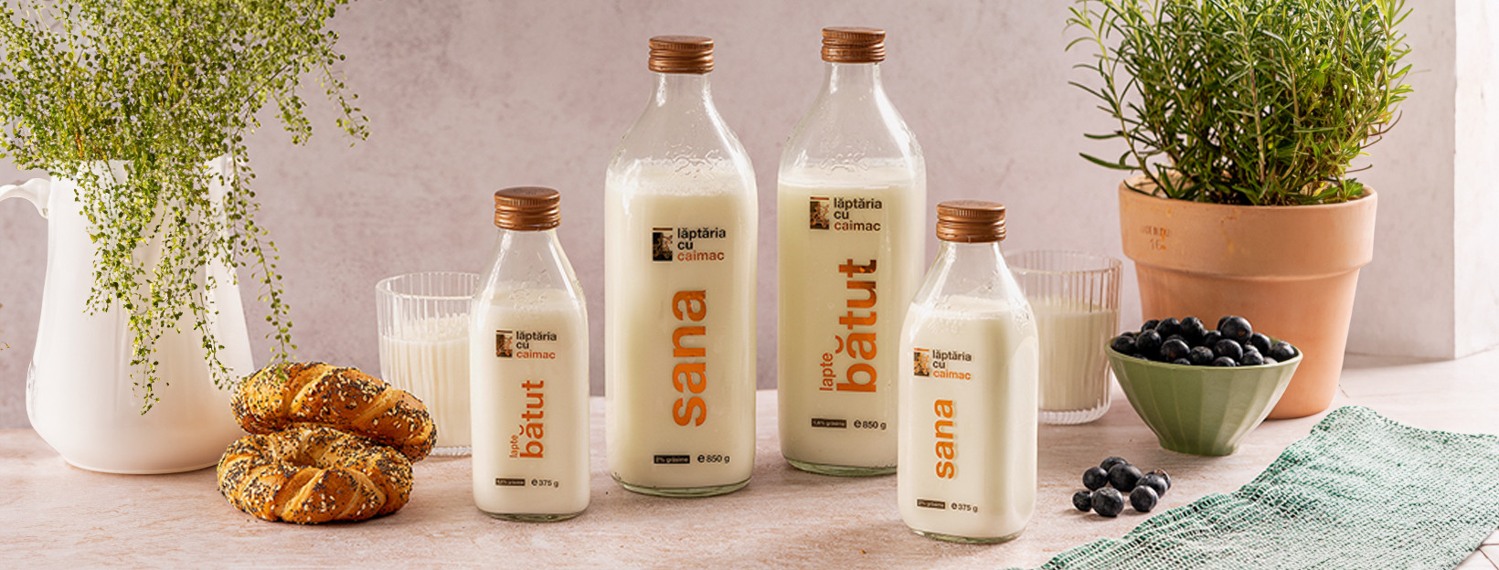 Românilor le place iaurtul: cifrele înregistrate de Lăptăria cu Caimac și planurile companiei pentru 2026